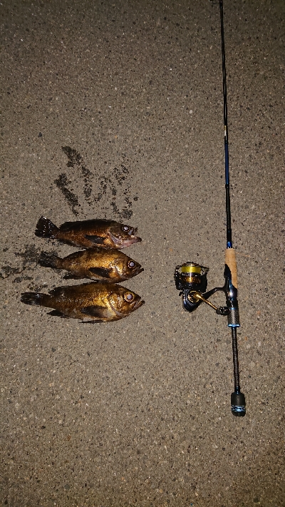 自己記録更新。