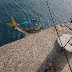 離島すげぇ(゚∀゚)