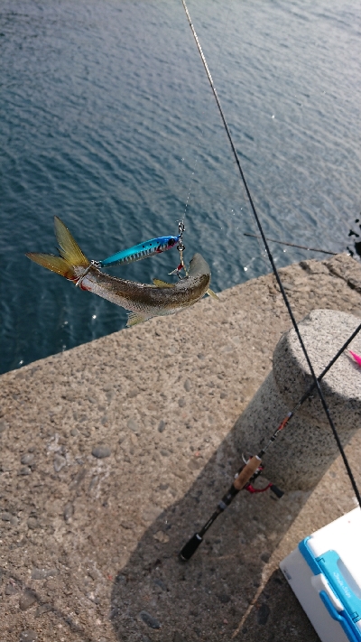 離島すげぇ(ﾟ∀ﾟ)