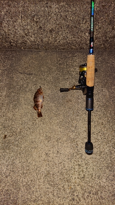 今日は厳しい。