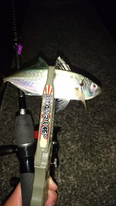 リベンジ串本２