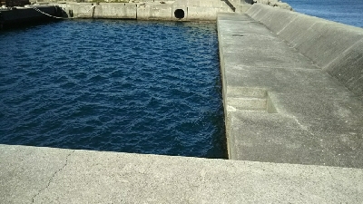 晴れてたけど寒かった