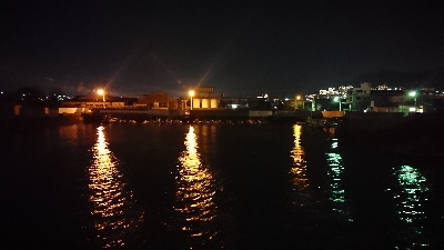 井口港メバリング