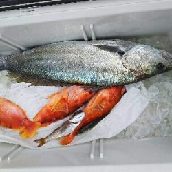 3/10ジギング釣り果