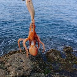 まだ早かったかな⁉️