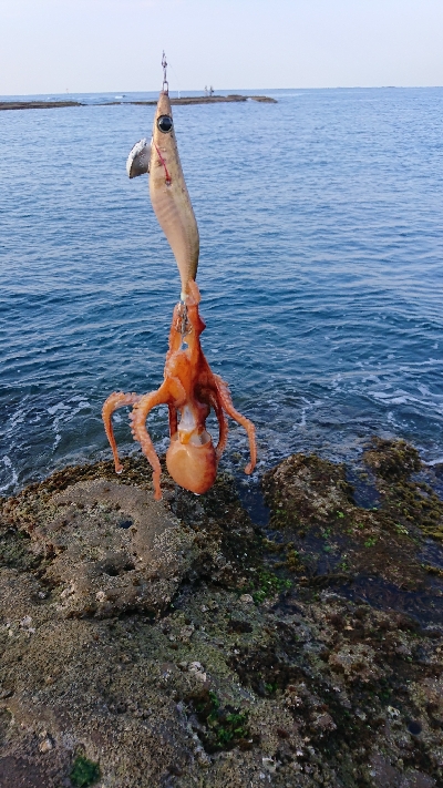 まだ早かったかな⁉️