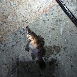 ジアイは一瞬！