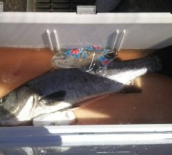 自己記録更新！！