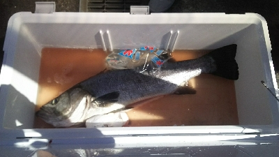 自己記録更新！！