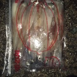 久々の爆釣❗️