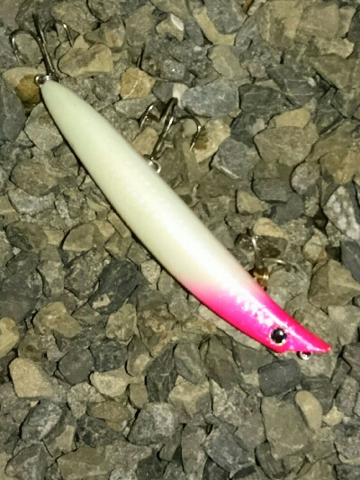 真夜中のヒラスズキ