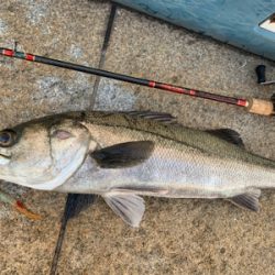 Beat the bad tide ！（悪潮をぶっとばせ）