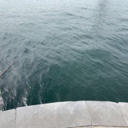 硬竿弾いてサイズダウン(°▽°)