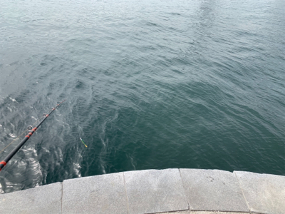 硬竿弾いてサイズダウン(°▽°)