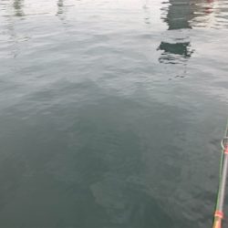 止水！ミラーシーバス！！