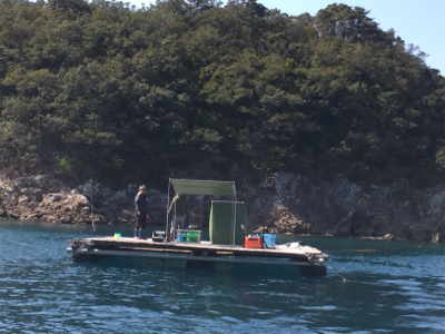 つりぴぃぽぉ釣果