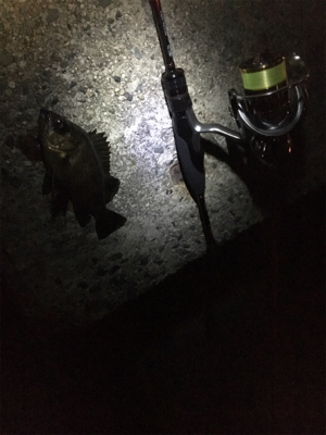 深夜ライトゲーム