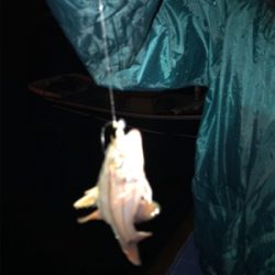 初通詞島ライトゲーム