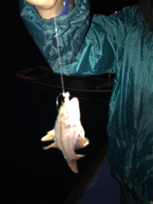 初通詞島ライトゲーム