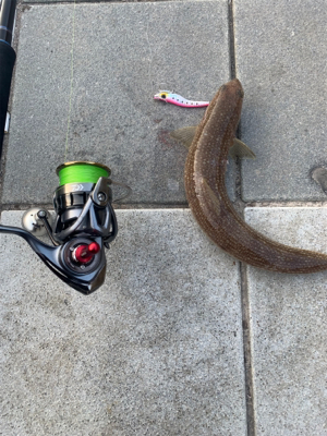 ギリギリせーふ？