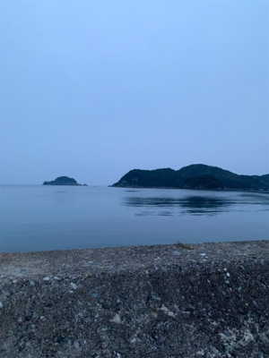 ヤリイカ釣果！