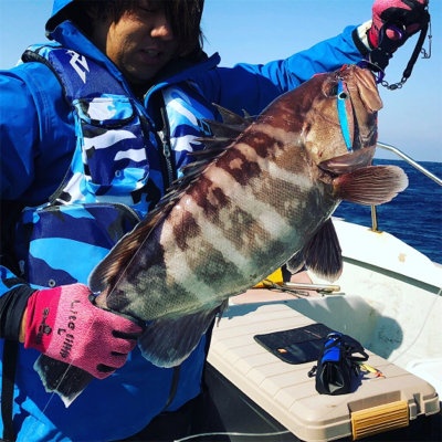 マハタ連発！！！