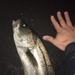 ランカーまで後少し！！