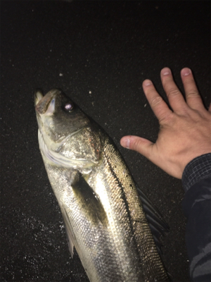 ランカーまで後少し！！