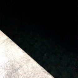 プラグで釣れた