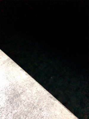 プラグで釣れた