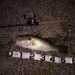 今年の初バスは52センチでスタート