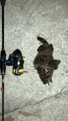 港奥メバリング