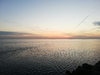 コブダイチャレンジ