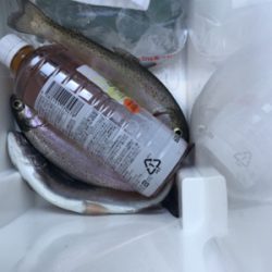 フィッシャーリゾートしょうばら