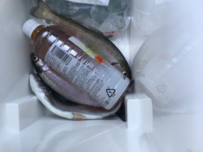 フィッシャーリゾートしょうばら