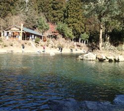 エリアトラウト