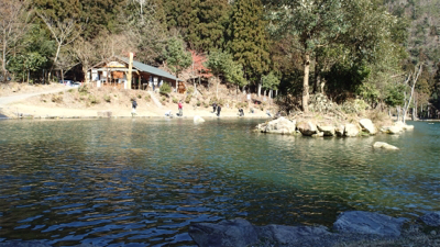 エリアトラウト