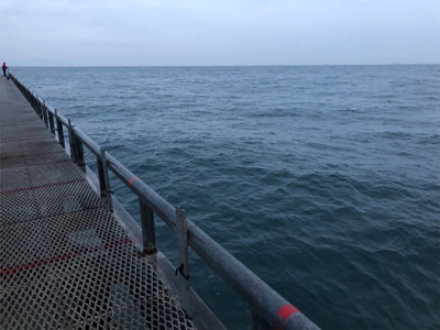 サバ3連はハマチ級の引き^_^笑