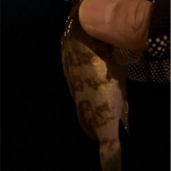 極小バイトをいかにフッキングに持ち込むか。