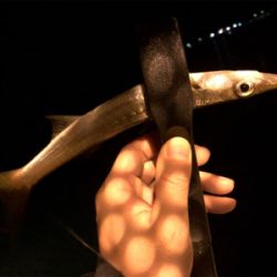 アジング下見♪