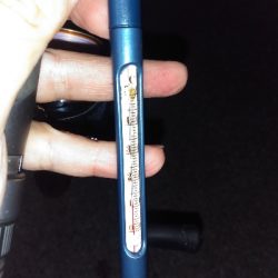 須磨海岸でメバリング！ミニメバルに癒やされる