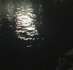 プラグには反応無し、ジグ単ワームで!