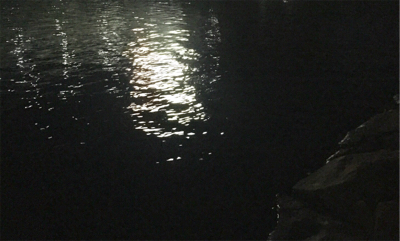 プラグには反応無し、ジグ単ワームで!