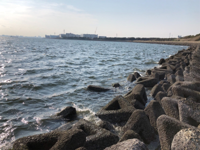 真昼間シーバス