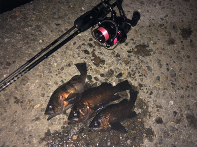 そろそろメバリング