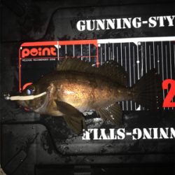 癒しのライトゲーム