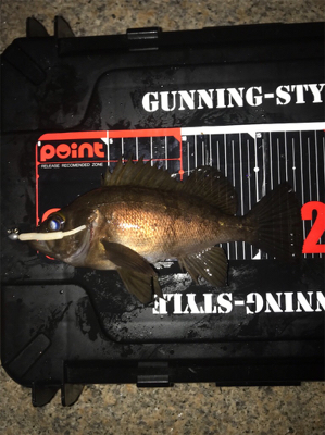 癒しのライトゲーム