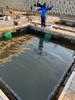 海釣りポート田尻にて