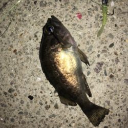 ランガンメバリング