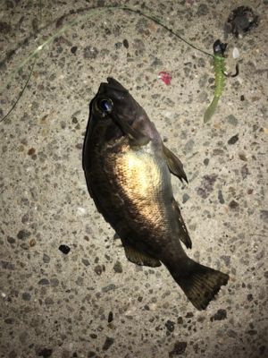 ランガンメバリング